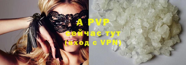 ешки Алексин
