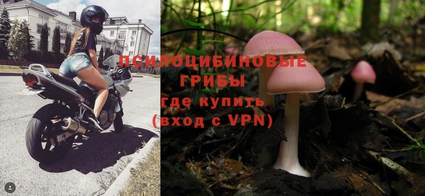 спайс Алзамай