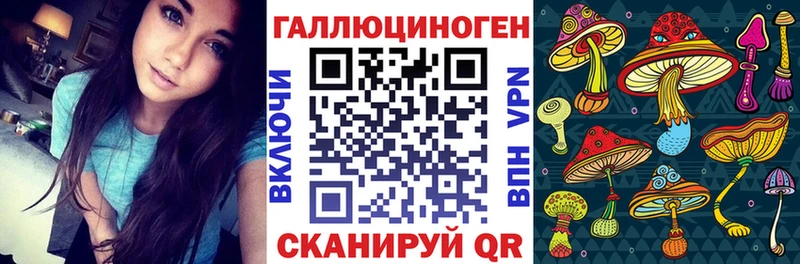 Галлюциногенные грибы Cubensis Йошкар-Ола