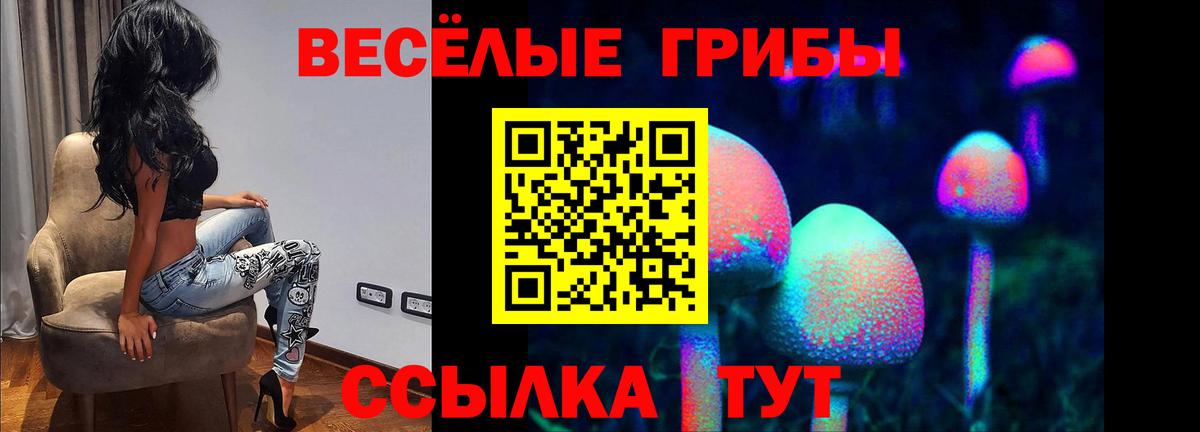 Йошкар-Ола  Псилоцибиновые грибы ЛСД  Вход с VPN 