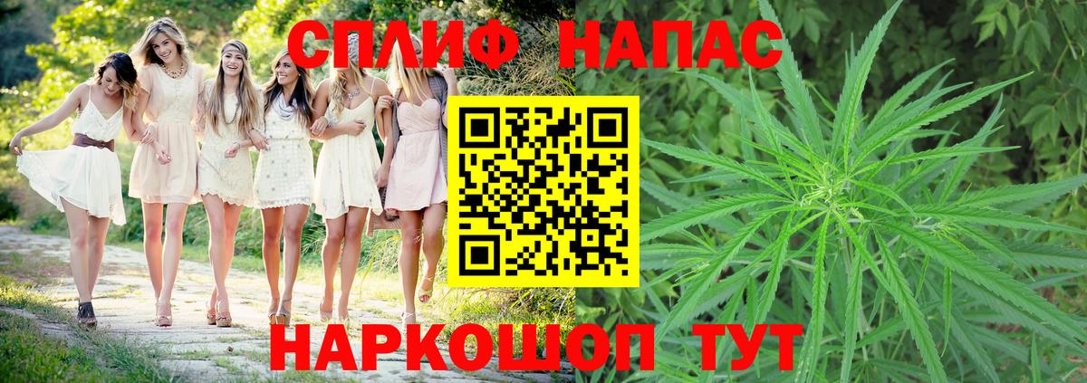 Конопля планчик  Бошки Шишки сатива  Йошкар-Ола  Вход с VPN  МАРИХУАНА гибрид 